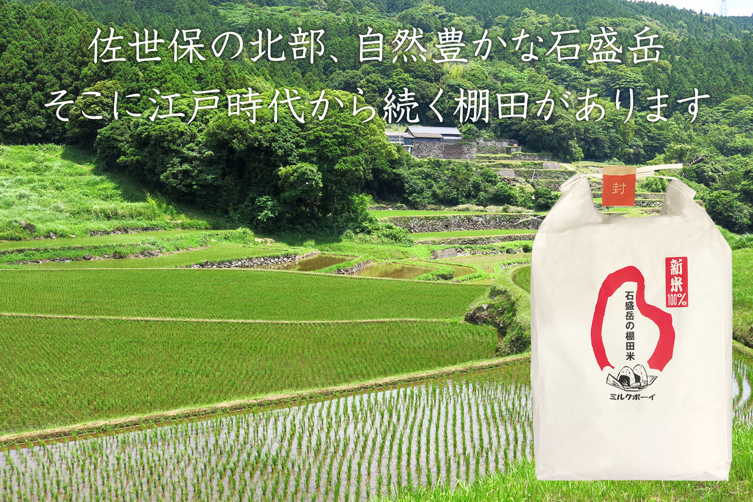 岳の棚田新米18Kg『夢しずく』一等米美味しいお米